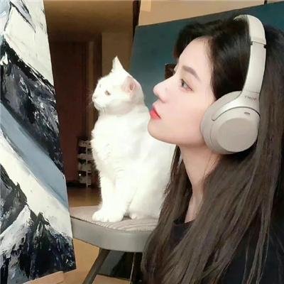 三面镜 在线观看